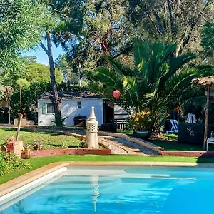 Casa Koala Da Valdareina, Bénagil, Carvoeiro, Marinha Appartement Carvoeiro (Lagoa)